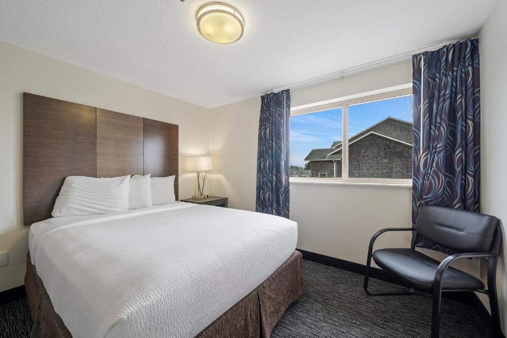 Standard Single King Room - No View interior